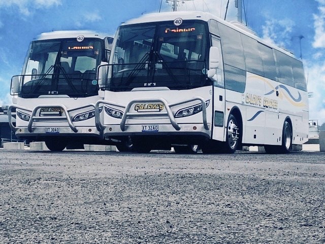 Bus 2